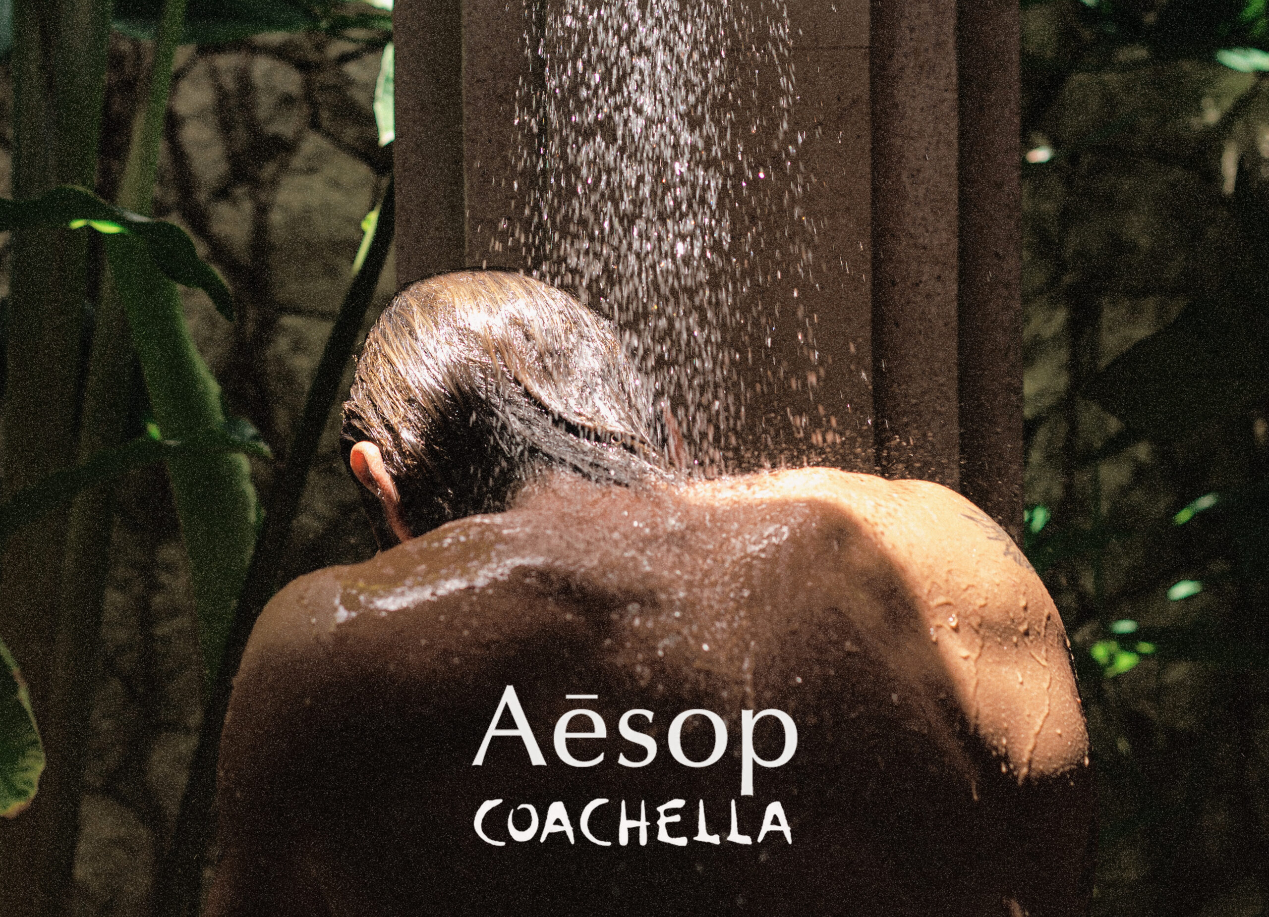 Aesop: An Oasis Wherever You Are